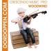 Crescendo Music PRO Woodwind - 15dB