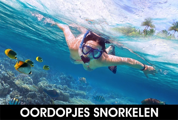 De beste Oordopjes voor Snorkelen Oordoppen tegen water tijdens het Zwemmen Zwemdopjes Zwembad Zwemles Alpine SwimSafe Zwemdoppen Gehoorbescherming Ooronsteking 4EARS Crescendo